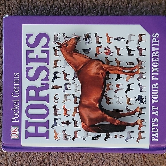Other - Pocket Genius Horses